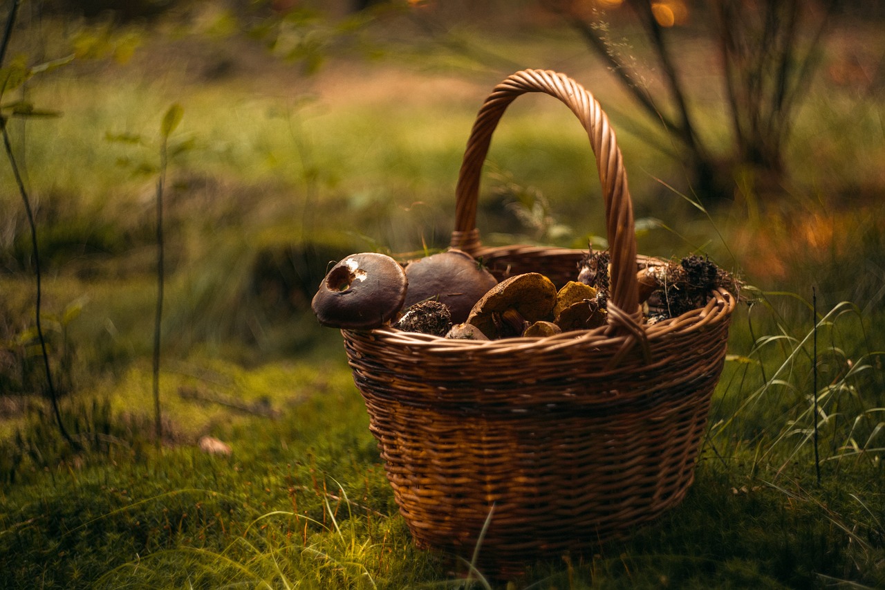 5 Easy Steps to Create DIY Rope Baskets